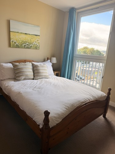 Wood double bed frame brown - wood,